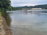Nationales Paarwettfahren in Möhlin (35/37)